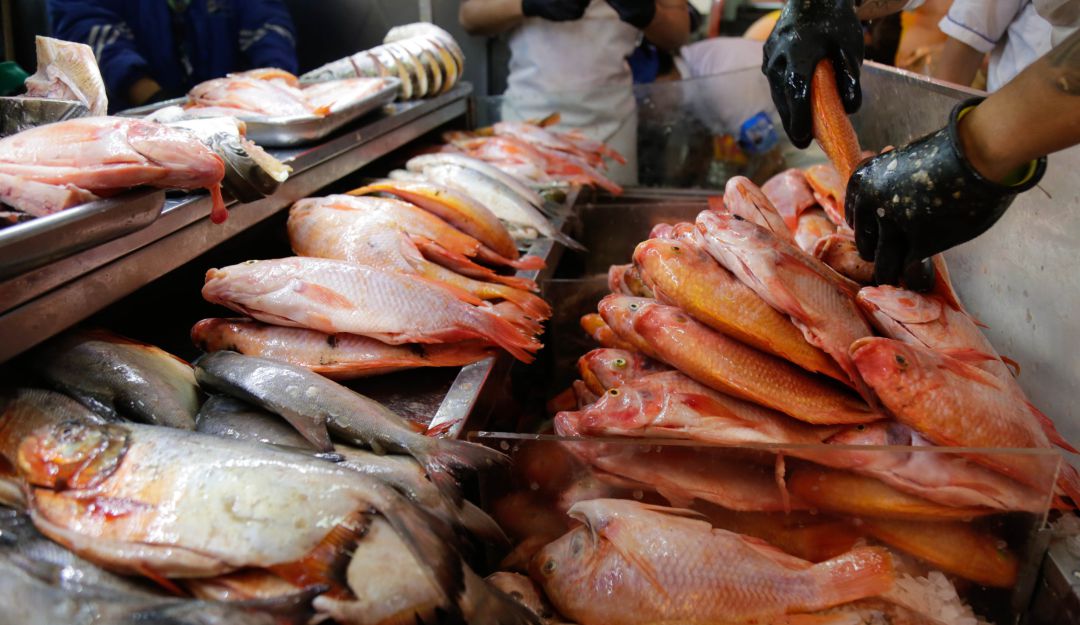 Buena oferta de pescado en Semana Santa