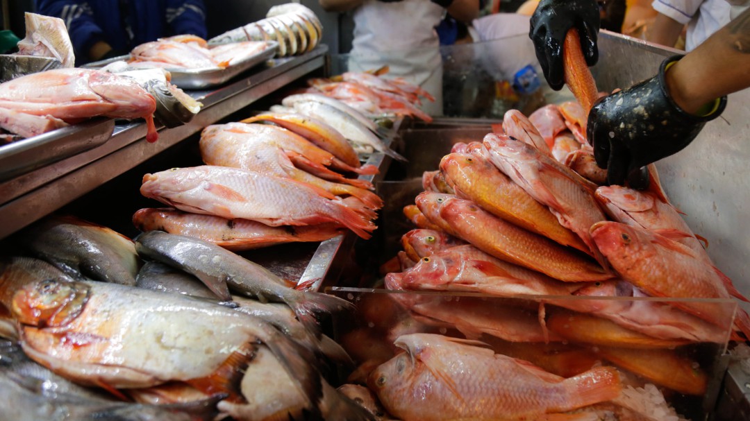 Compre hoy mismo el pescado, evite aglomeraciones