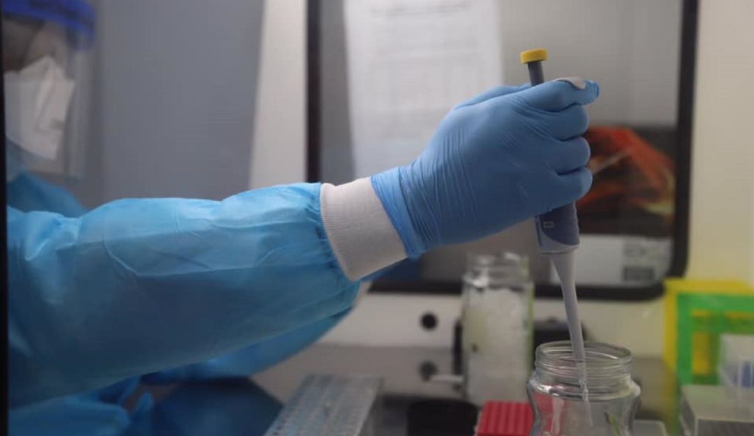 Coronavirus en Cartagena: Cuidémonos: plataforma tecnológica contra el COVID-19 en Cartagena