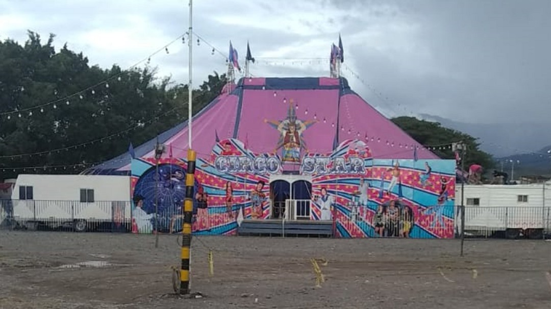40 integrantes de circo en Armenia solicitan ayudas ante COVID-19