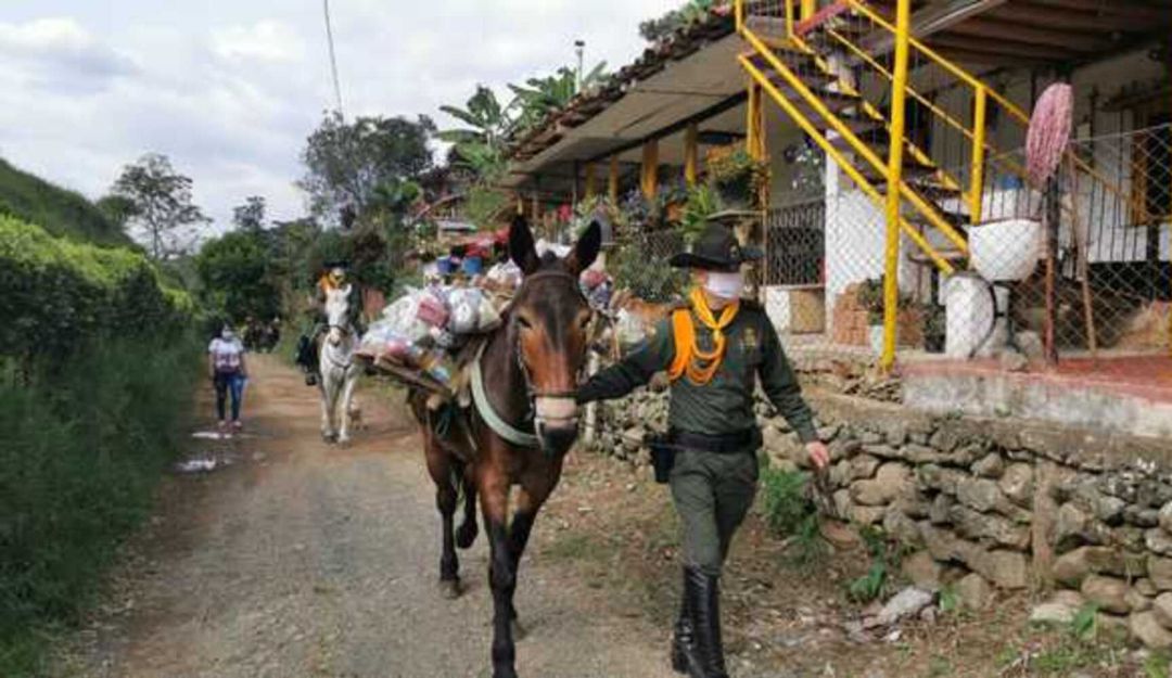 Ayudas alimentarias en zona rural de Risaralda: Ayudas alimentarias llegan hasta las zonas más apartadas de Risaralda