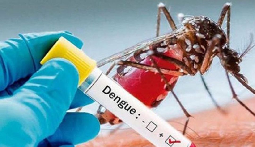 Enfermedades en Medellín: Alcaldía de Medellín invita a cuidarse del Dengue en la cuarentena