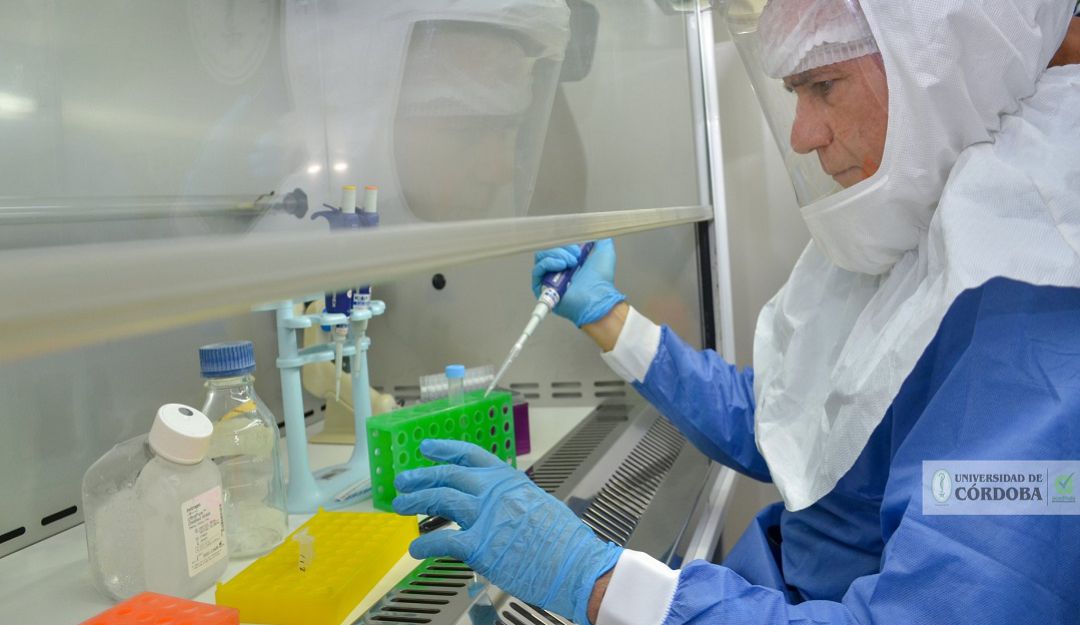 coronavirus laboratorio universidad de Córdoba Montería Covid.19 pruebas: Laboratorio de la Unicórdoba comienza a hacer pruebas de COVID-19