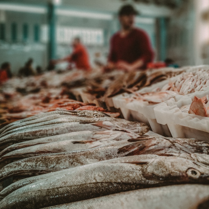 Disminuye venta de pescado en el Huila