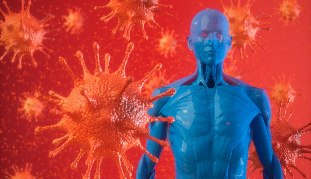 Cómo fortalecer el sistema inmune: Así funciona el sistema inmunológico frente al coronavirus
