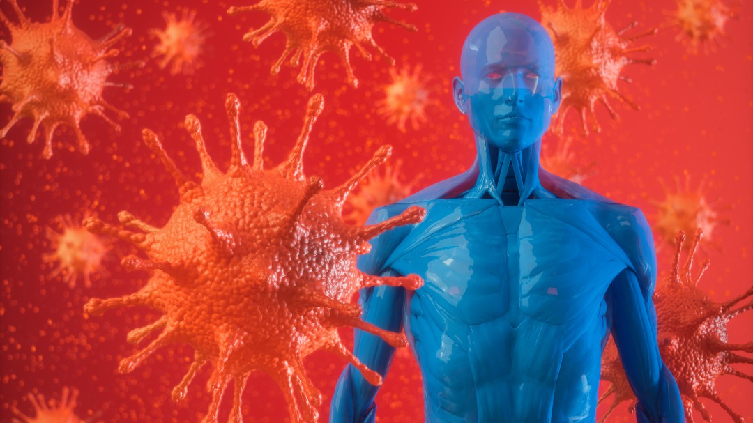 Así funciona el sistema inmunológico frente al coronavirus