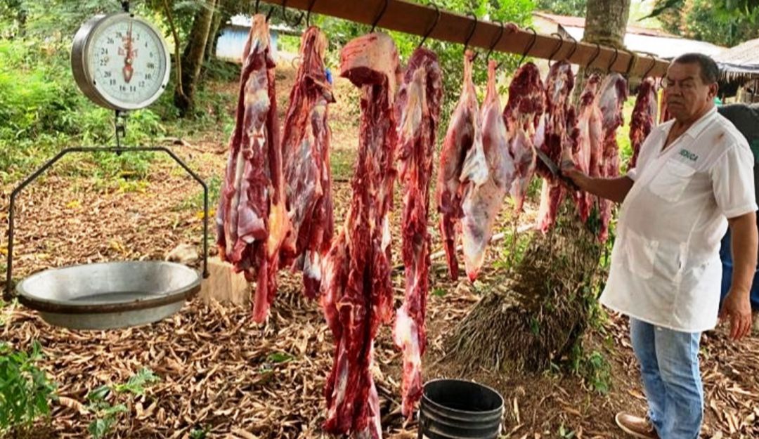 Alcaldía de San Jacinto del Cauca: Alcaldía de San Jacinto del Cauca sigue llevando comida a veredas