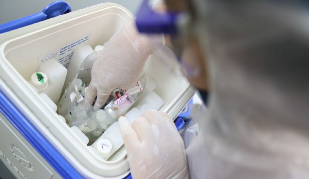 Valle llegó a 531 contagiados por Covid-19. Tres pacientes murieron en Cali: Valle llegó a 531 contagiados por Covid-19. Cali tiene 420 casos
