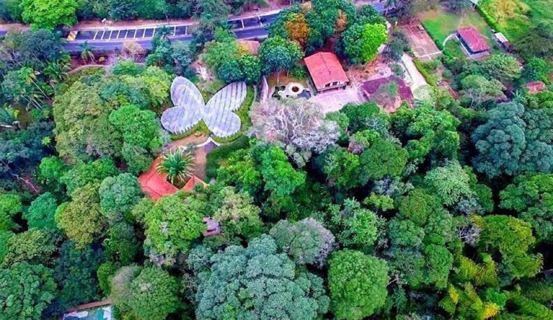 Zoológicos y jardines botánicos podrán diferir pago de servicios públicos: Zoológicos y jardines botánicos podrán diferir pago de servicios públicos