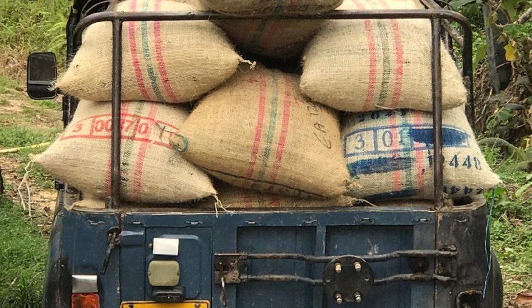 En el sur del Tolima se han cerrado fronteras para evitar propagación del C: El sur del Tolima ha cerrado fronteras para evitar casos de coronavirus