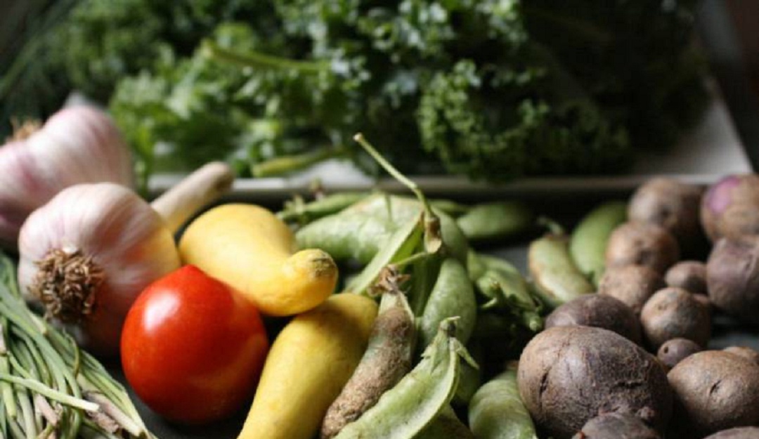 Boyacá: más del 50% de sus habitantes en riesgo de inseguridad alimentaria: Boyacá: más del 50% de sus habitantes en riesgo de inseguridad alimentaria Boyacá: más del 50% de sus habitantes en riesgo de inseguridad alimentaria: Boyacá: más del 50% de sus habitantes en riesgo de inseguridad alimentaria