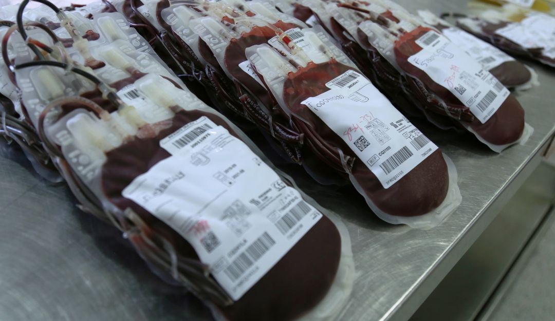 sangre Cruz Roja: Bajos niveles de sangre en la Cruz Roja Colombiana Seccional Bolívar