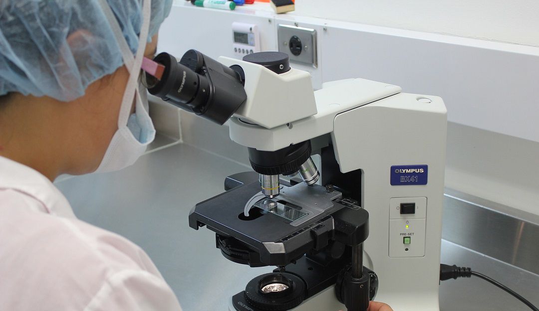 Universidad de Córdoba patente leishmaniasis cura: Universidad de Córdoba logra patente que permitirá cura de la leishmaniasis