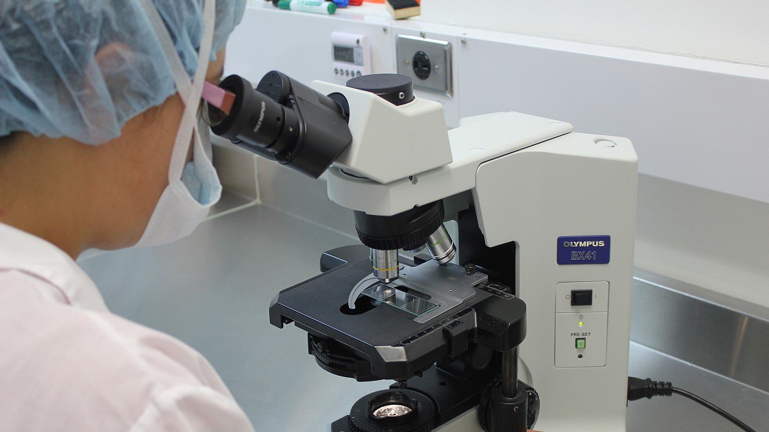 Universidad de Córdoba logra patente que permitirá cura de la leishmaniasis
