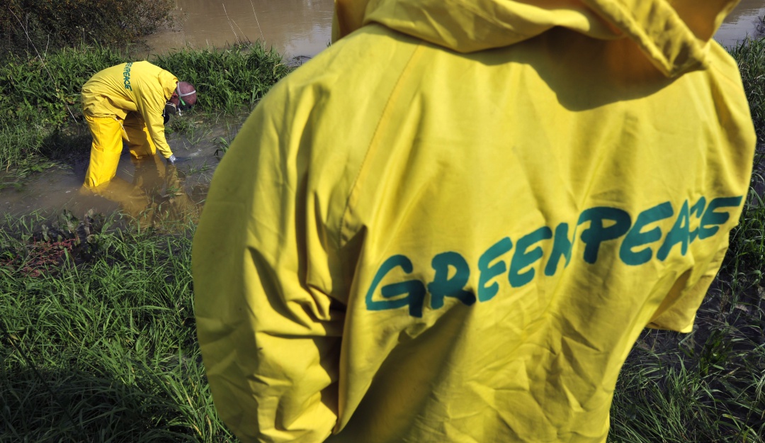 Celebración día mundial de la tierra: En el día mundial de la tierra, Greenpeace llama al cuidado del planeta