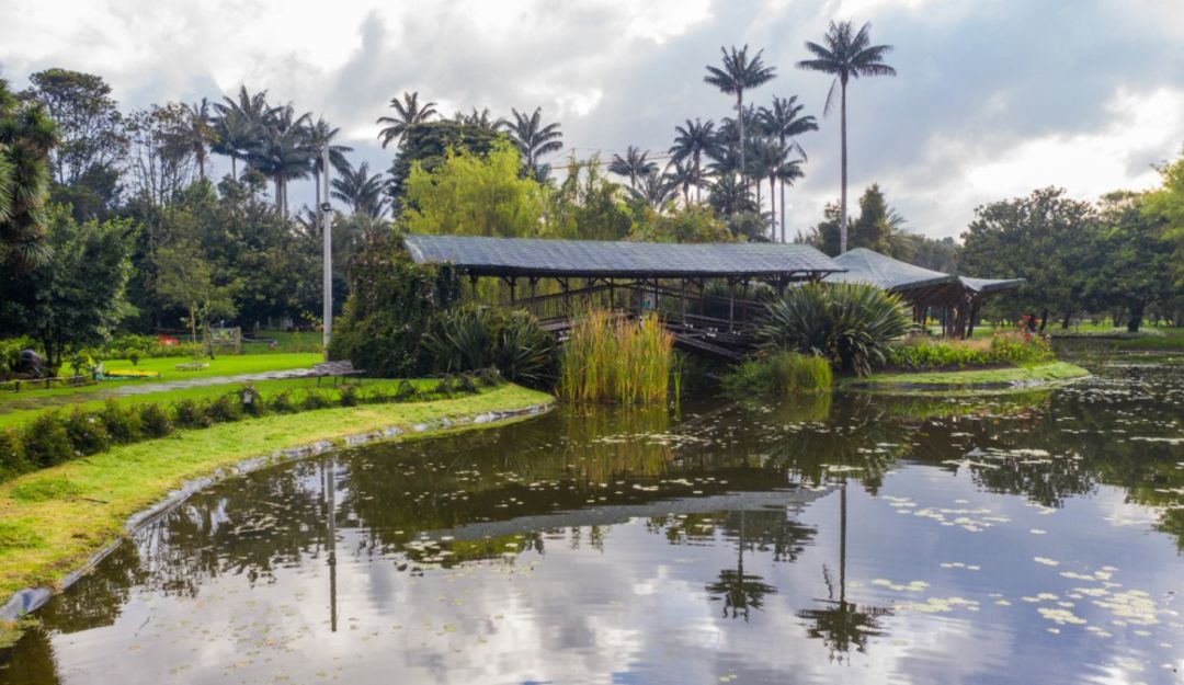 Jardín Botánico invita a los ciudadanos a celebrar el día de la Tierra