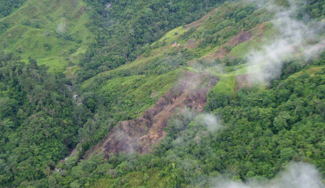 Procuraduría deforestación zonas: Procuraduría pide crear registro nacional de zonas deforestadas