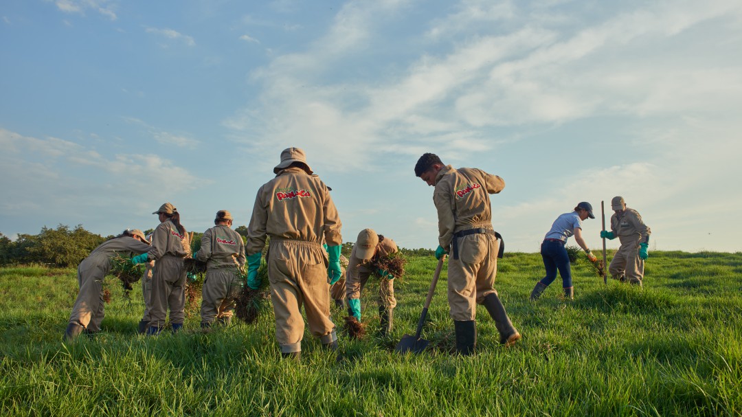 200 trabajadores de Panaca cultivan productos dentro del parque