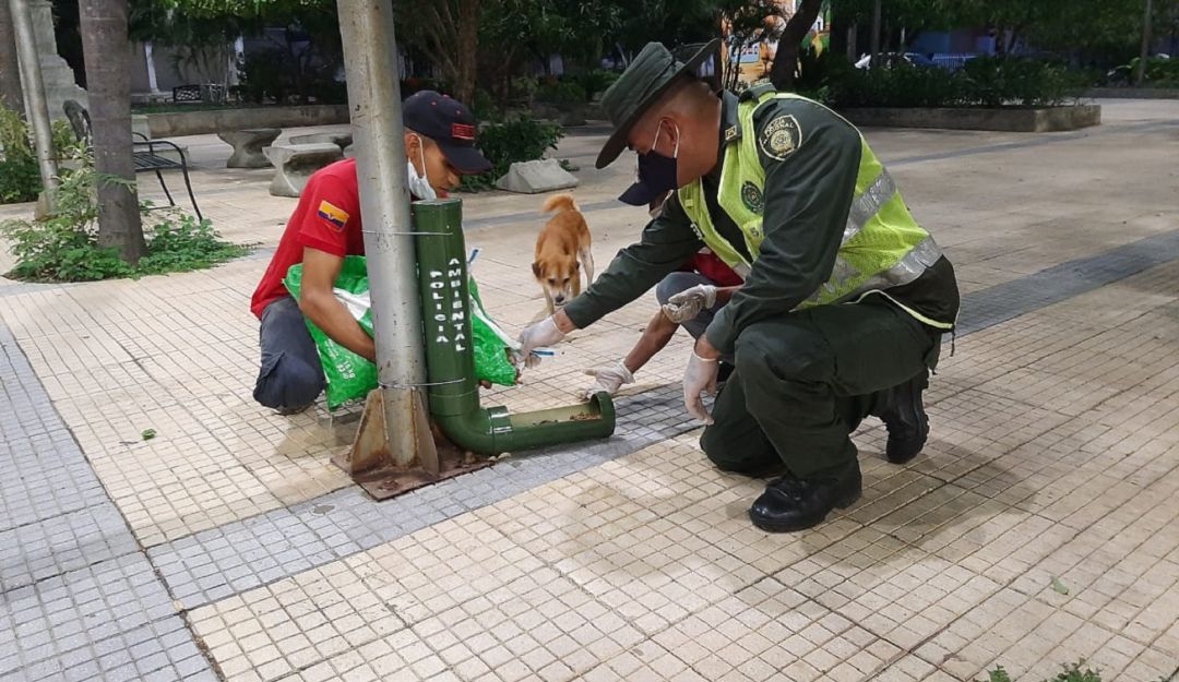 Abandono animales en Bolívar: Aumenta abandono de perros y gatos en municipios de Bolívar