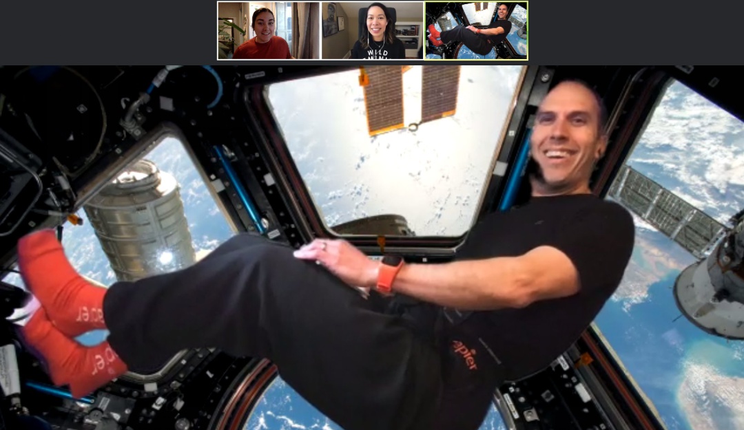 Cambiar de fondo en Zoom: Así podrá cambiar su fondo en una videollamada en Zoom