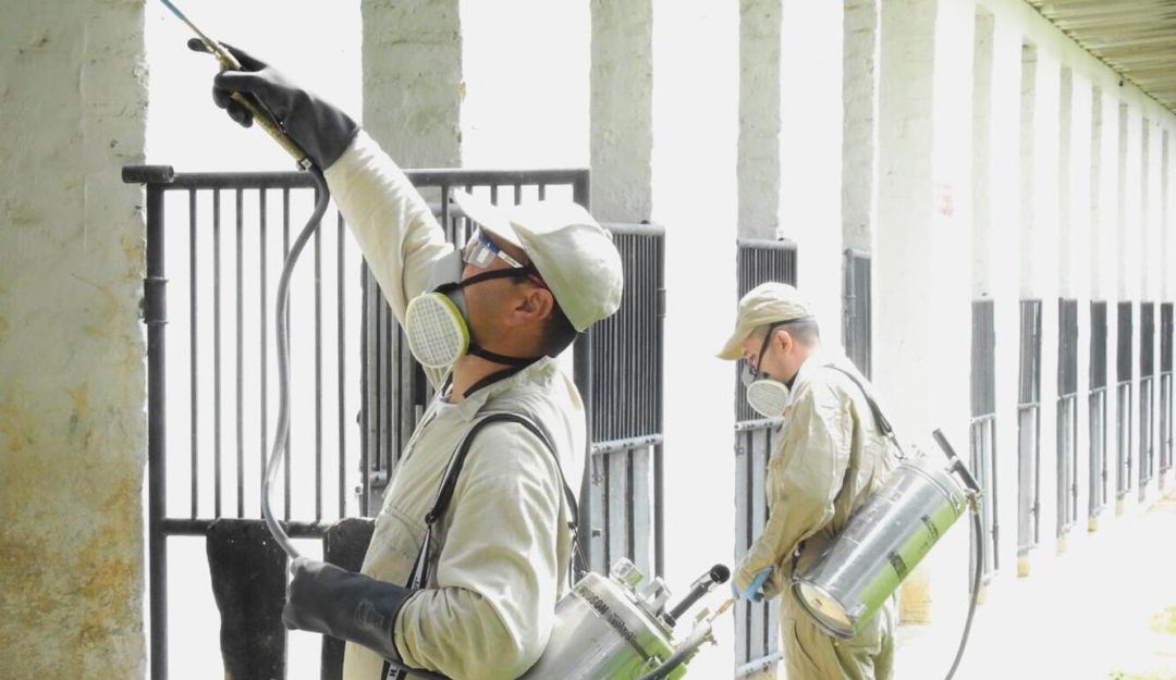 Servicios de desinfección falsos en Pereira: Funcionarios de la Alcaldía de Pereira estarían siendo suplantados