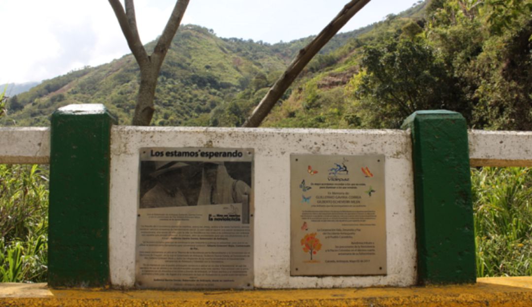 Paz Caicedo, Antioquia: Municipio de Caicedo, ejemplo de paz para el mundo