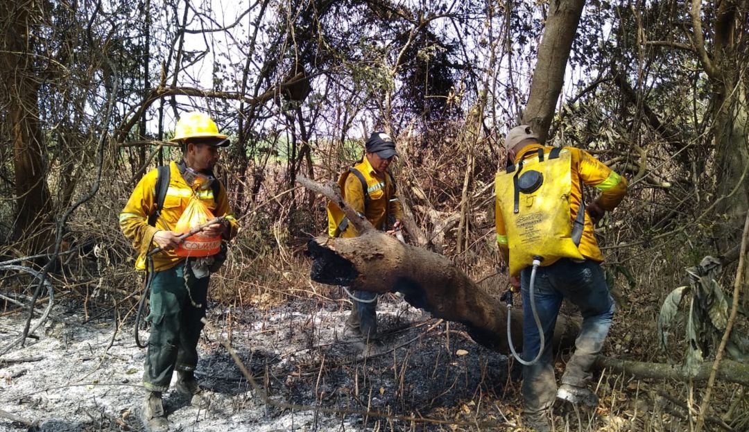 Incendio arrasa con vegetación en Vía Parque Isla de Salamanca