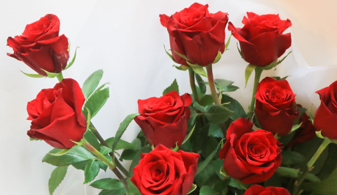 Rosas