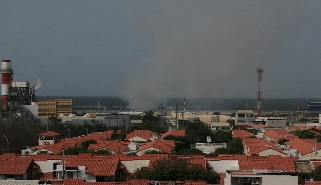 Parque Isla Salamanca: Persiste uno de los incendios en el Parque Isla Salamanca
