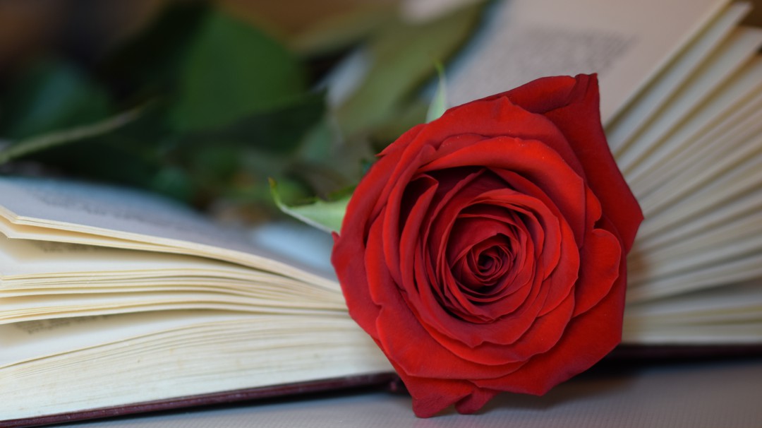 En el Día de la Madre, poesía con el poeta Jaime Arturo Martínez