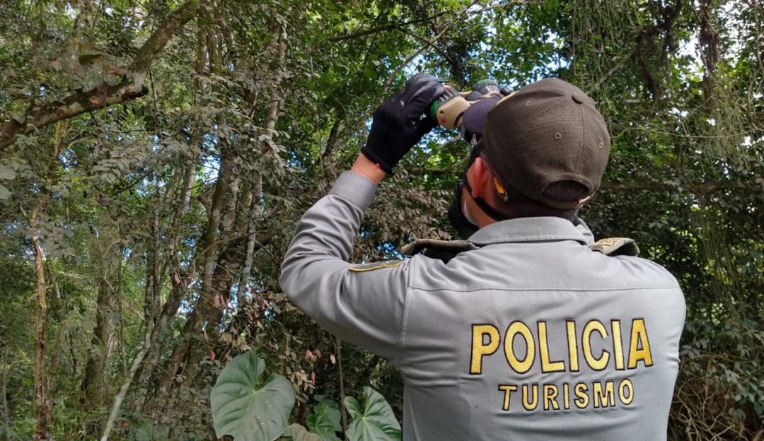 Día mundial de las aves: “Pajareando” una actividad liderada por la policía en Ibagué
