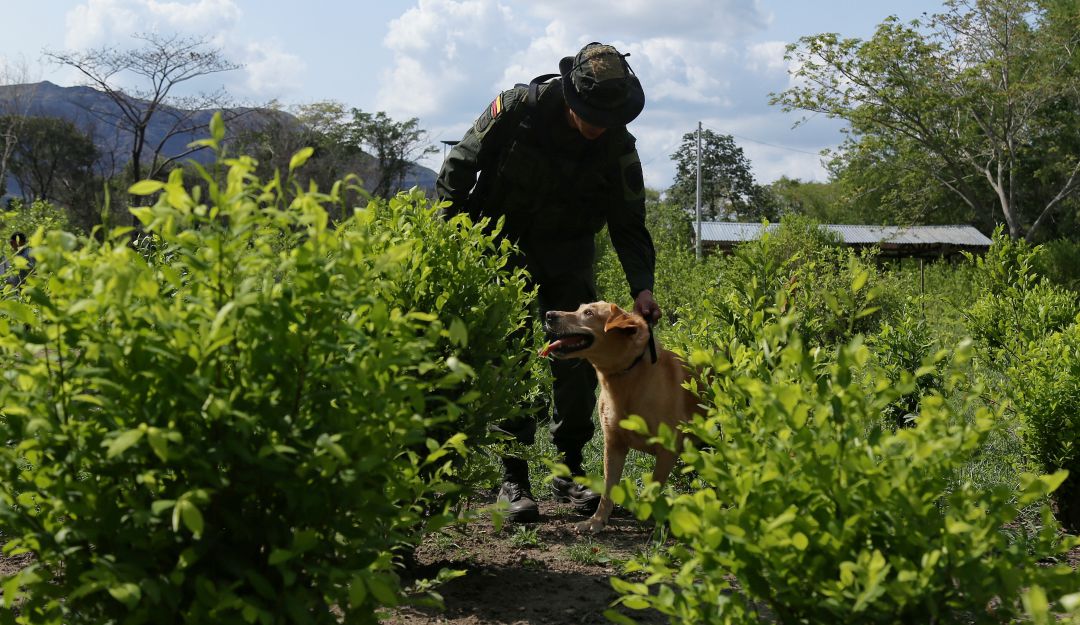 Campesinos retienen tres Policías en zona rural de Montelíbano, Córdoba