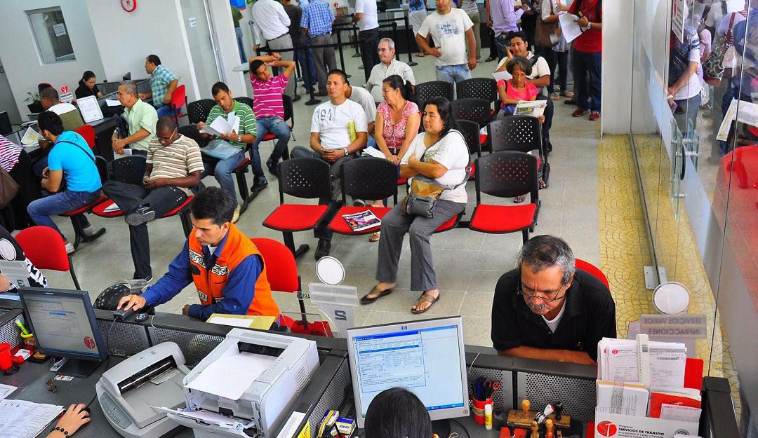Servicios de tránsito: Estos son los trámites y servicios de tránsito que se reactivan en Cali