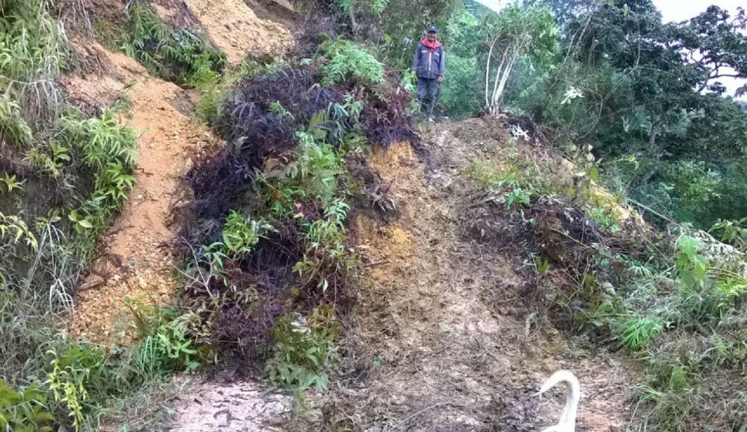 Deslizamientos de tierra en Ibagué: Deslizamientos afectan la zona rural de Ibagué
