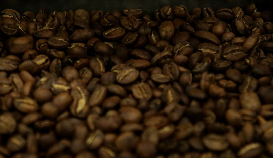 Granos de café