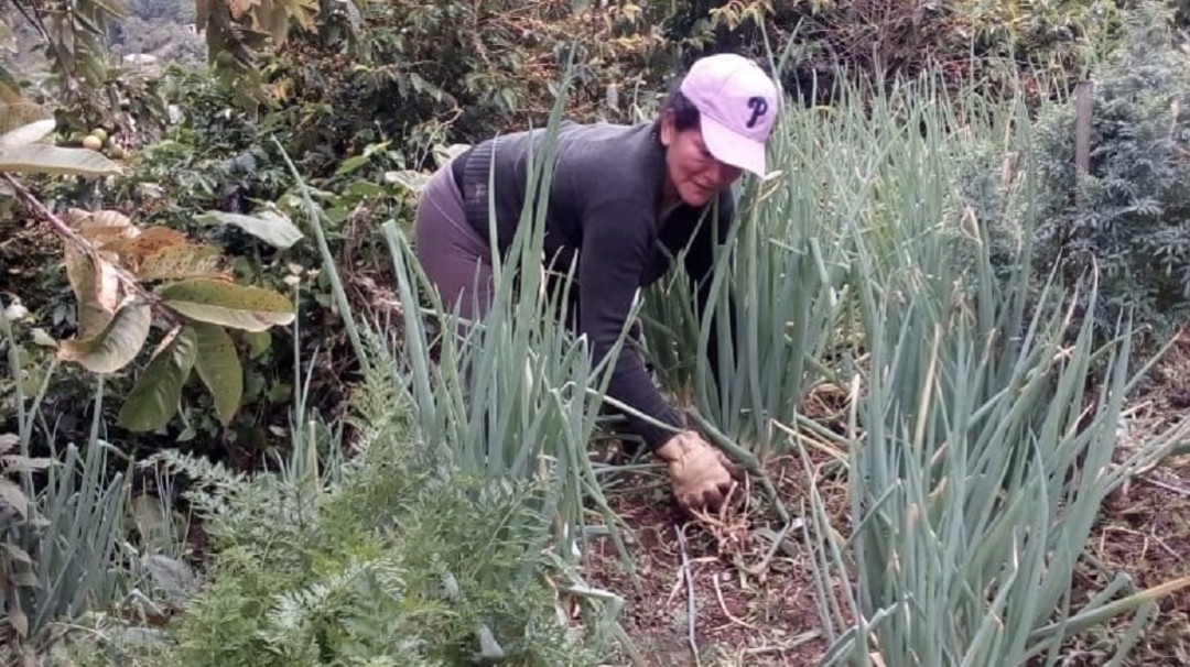 Fortalecer la producción local de alimentos pide el Grupo Semillas
