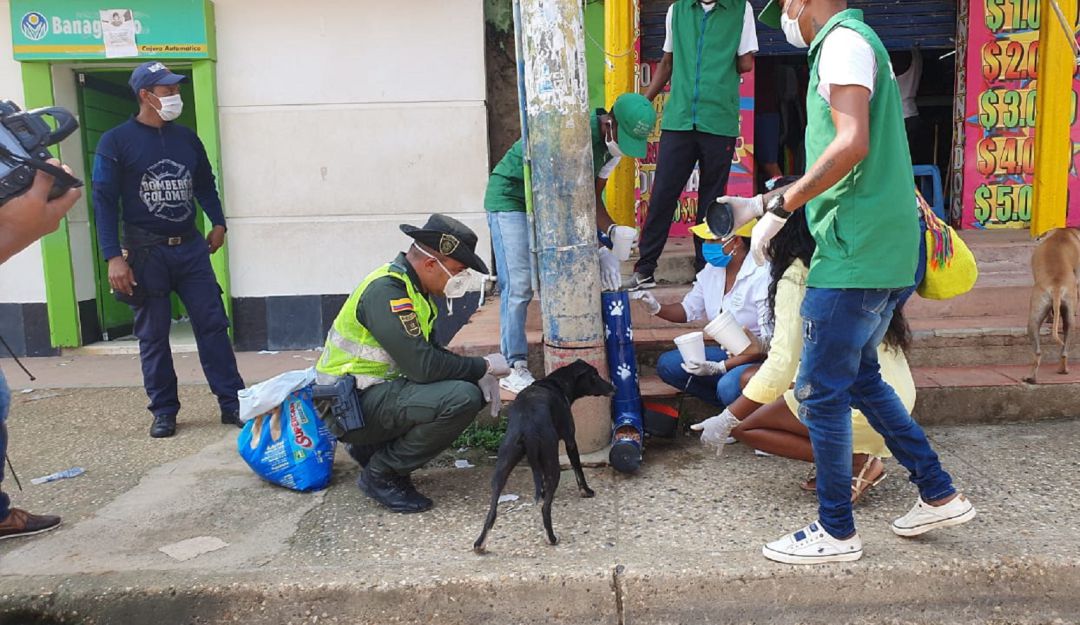 Protección animal en Bolívar: Policía instala comedor improvisado para perros en María La Baja, Bolívar