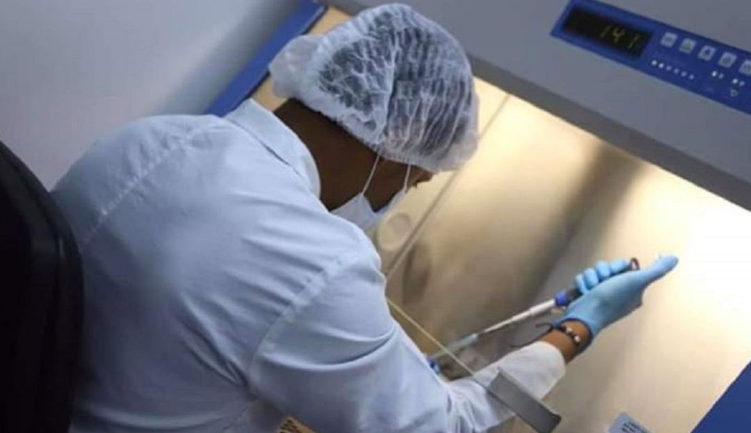 La Organización Panamericana de la Salud donó 100.000 pruebas para COVID-19: La OPS donó 100.000 pruebas para COVID-19