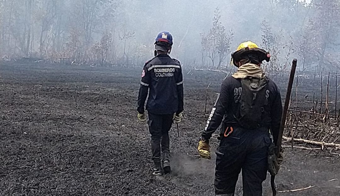 Se registra incendio forestal en la Ciénaga Grande de Santa Marta