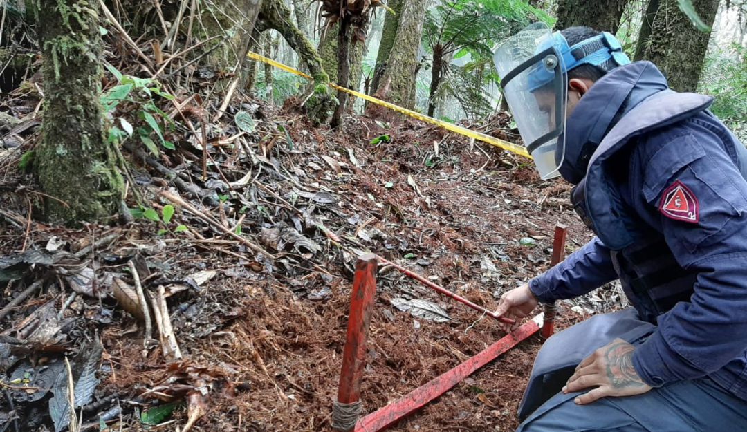 Nuevas zonas libres de minas antipersona en Tolima