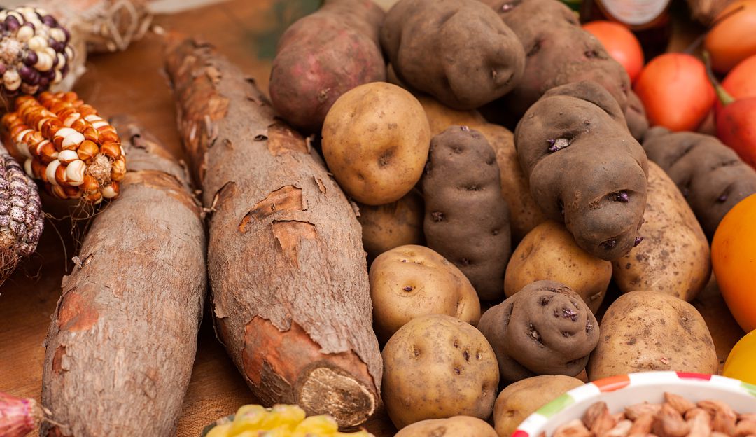Productos del campo