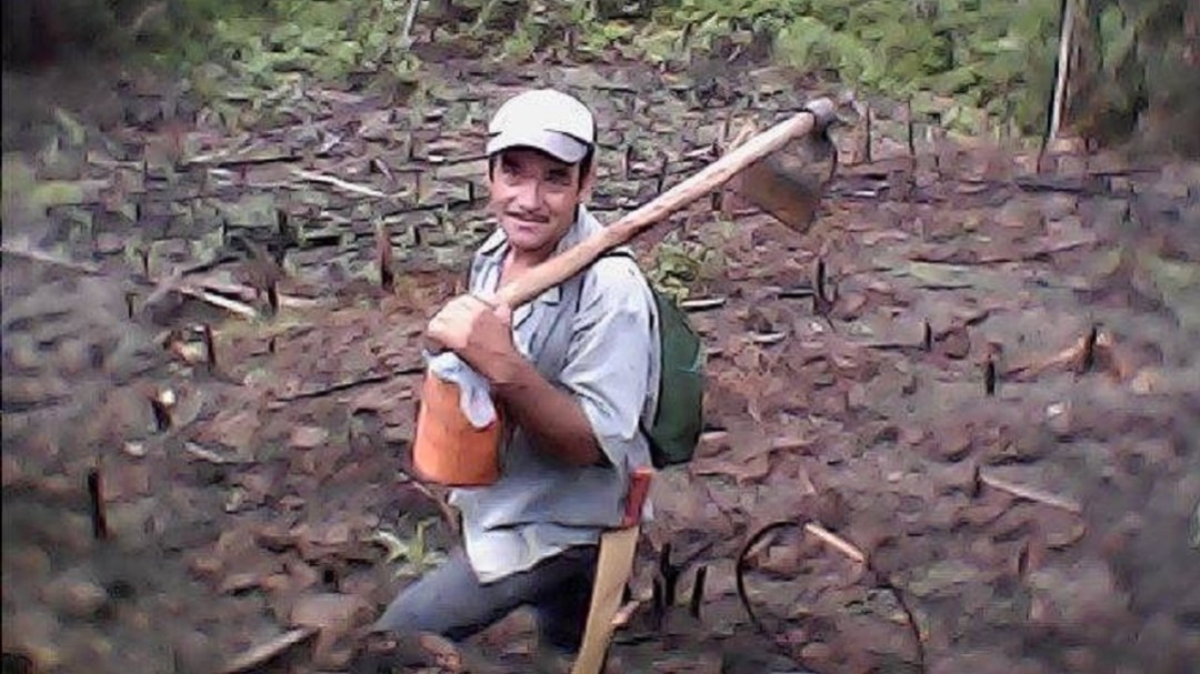 Ayuda del Gobierno para cuidar sus cultivos pide campesino en Santander
