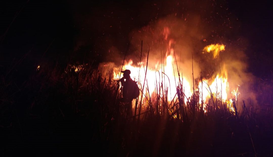 Solicitan apoyo aéreo para atender incendio en la Ciénaga Grande