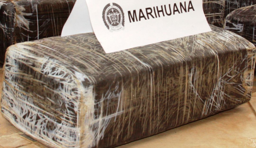 Marihuana San Andresito de La 38: Decomisan 2.5 toneladas de marihuana cerca a San Andresito de La 38