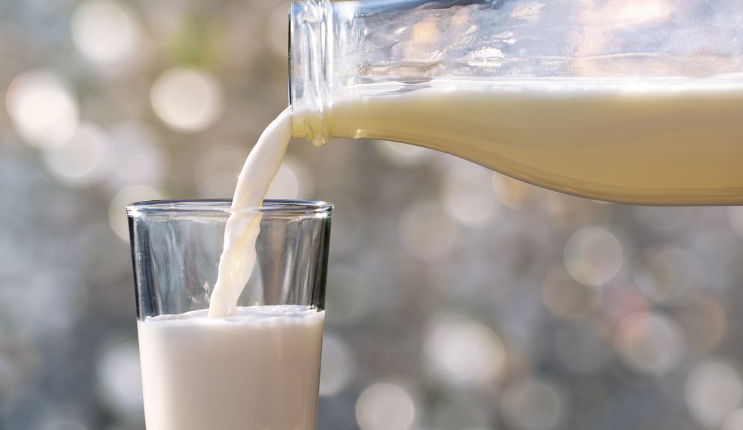 Día mundial de la leche: ¿Por qué se celebra el Día Mundial de la Leche?