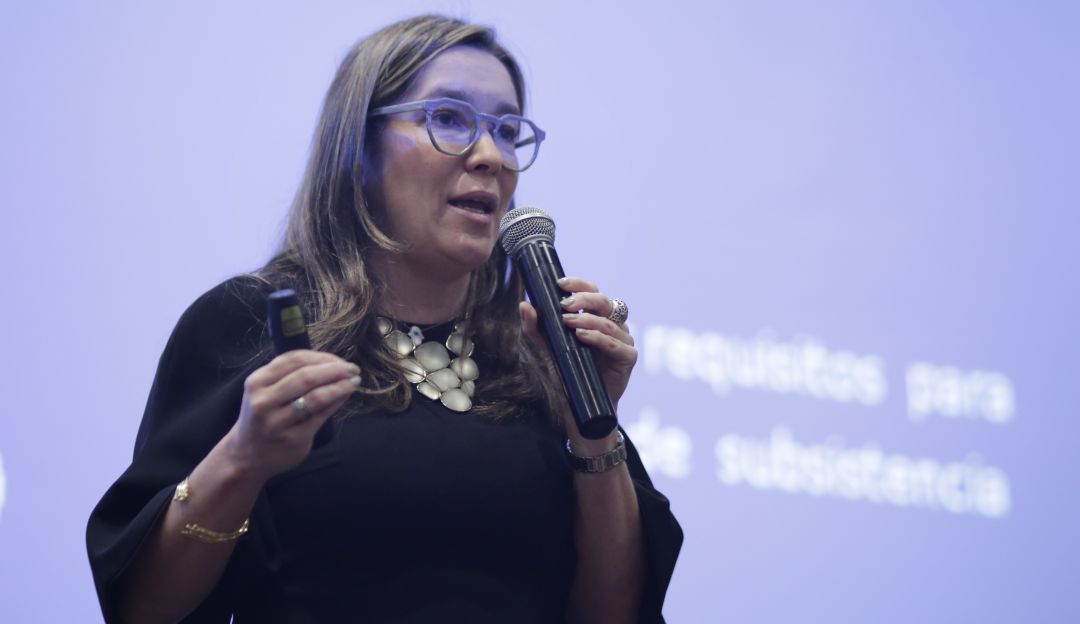 Ministra de Minas: Renuncia la ministra de Minas y Energía, María Fernanda Suárez