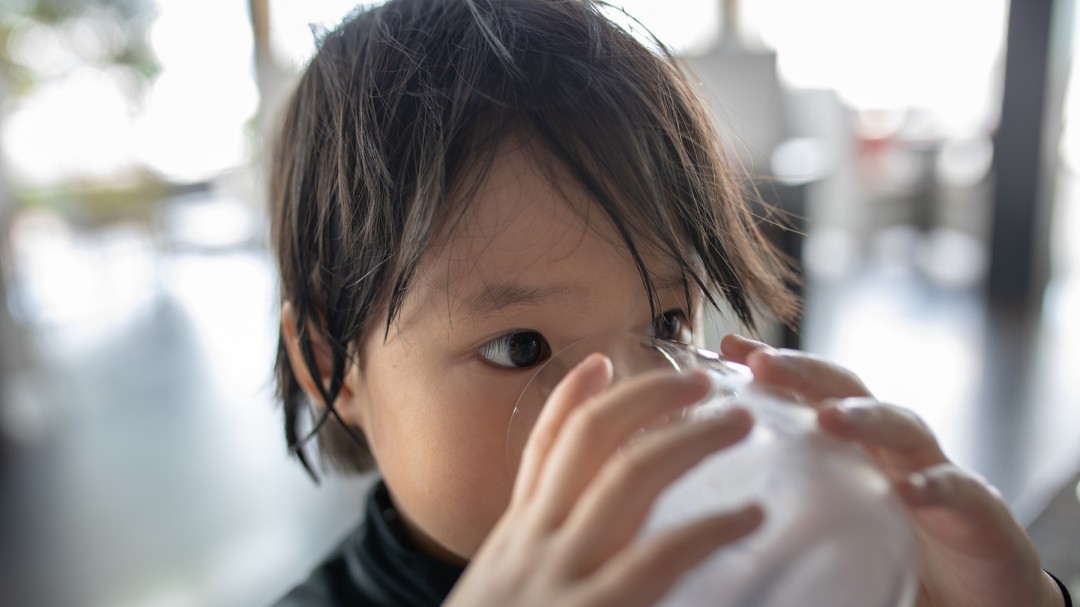 La leche, un producto esencial en la dieta