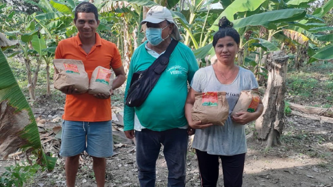 Campesinos producirán más de 500 toneladas de alimentos biofortificados