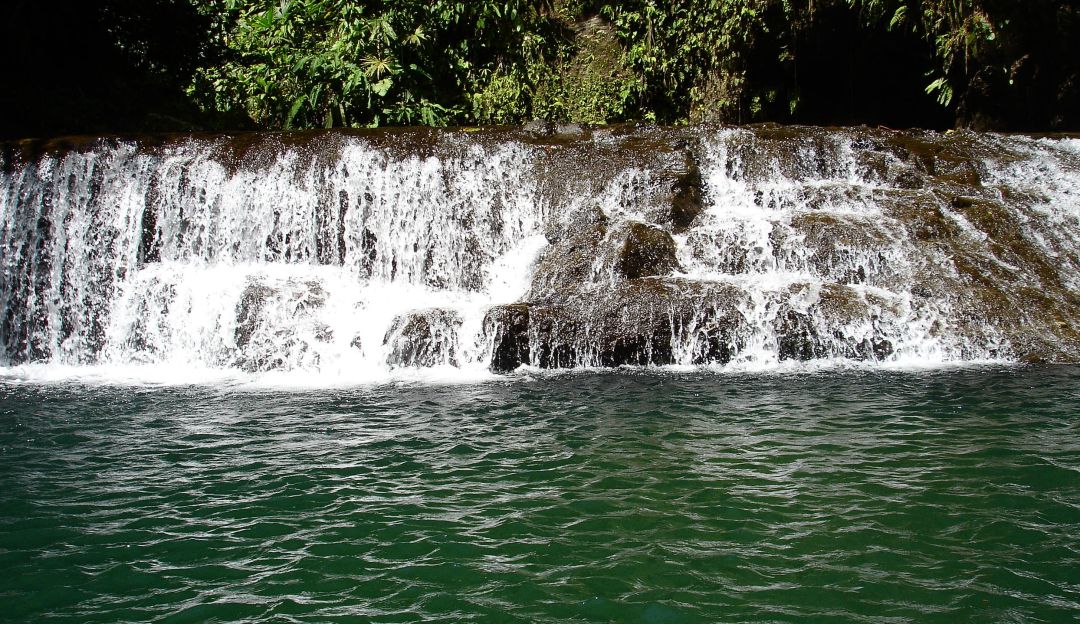 Cuidado del Medio Ambiente: Colombia anfitriona del Día Mundial del Medio Ambiente