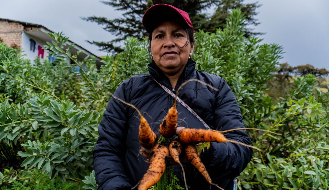 Documental día del Campesino